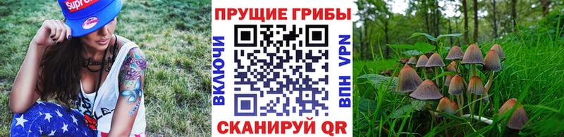 Галлюциногенные грибы Psilocybe  купить наркоту  shop как зайти  Верхоянск 